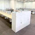 Century Games - Golden Agri Plaza | Product Seen: [Intel Workstation - V2, Toby Filling Cabinet - V2 & Dan Mobile Pedestal - 2 Drawers - Mini Size]